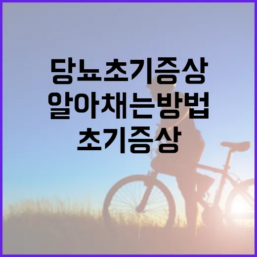 당뇨 초기증상을 알아채는 방법 - 요약