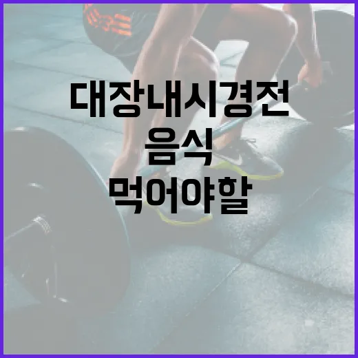 대장내시경 전에 먹어야 할 음식과 피해야 할 음식 - 요약