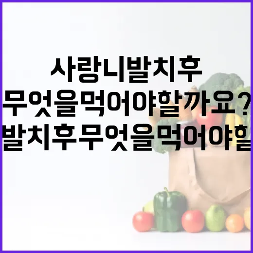 사랑니 발치 후 무엇을 먹어야 할까요? - 요약