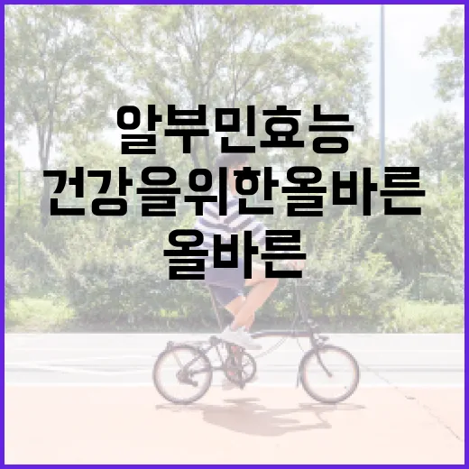 알부민 효능 알아보기: 건강을 위한 올바른 선택 - 요약