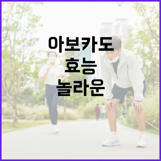 아보카도의 놀라운 효능을 최대한 활용하는 방법 - 요약
