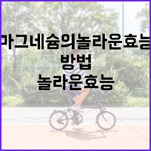 마그네슘의 놀라운 효능을 최대한 활용하는 방법 - 요약
