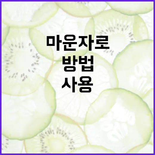 마운자로 건강하게 사용하는 방법 - 요약
