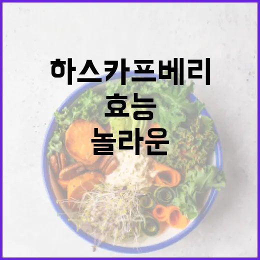 하스카프베리의 놀라운 효능과 활용법 - 요약