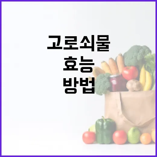 고로쇠물의 효능을 극대화하는 방법 - 요약