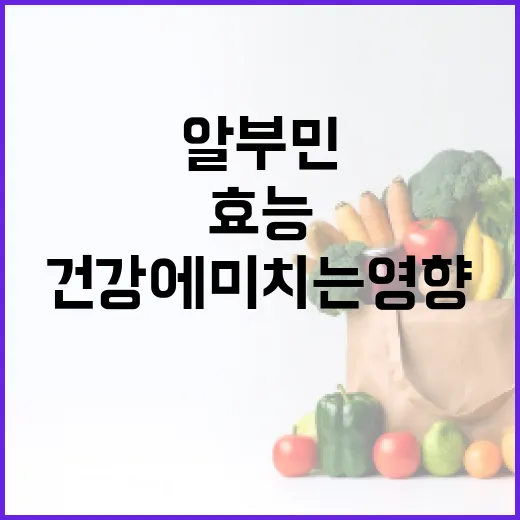 알부민의 효능과 건강에 미치는 영향 알아보기 - 요약