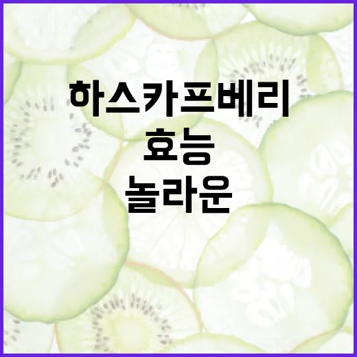 하스카프베리의 놀라운 효능과 활용법 - 요약