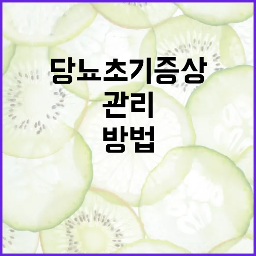 당뇨 초기증상을 인식하고 관리하는 방법 - 요약