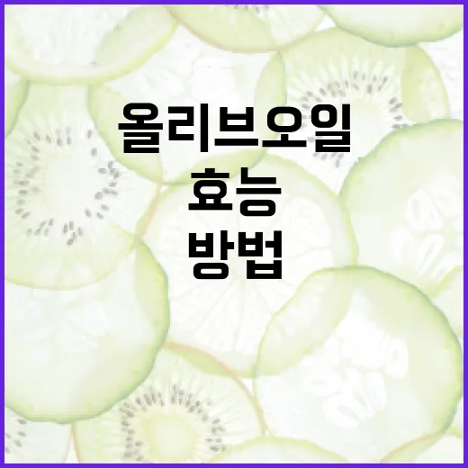 올리브오일의 효능과 활용 방법 - 요약