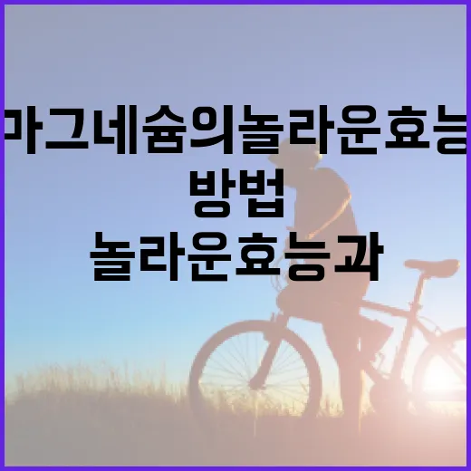마그네슘의 놀라운 효능과 활용 방법 - 요약