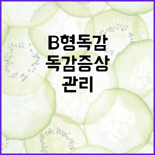 B형 독감 증상을 이해하고 관리하는 방법 - 요약