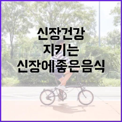 신장 건강을 지키는 방법: 신장에 좋은 음식 - 요약