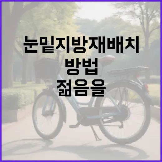 눈밑 지방 재배치로 젊음을 유지하는 방법 - 요약