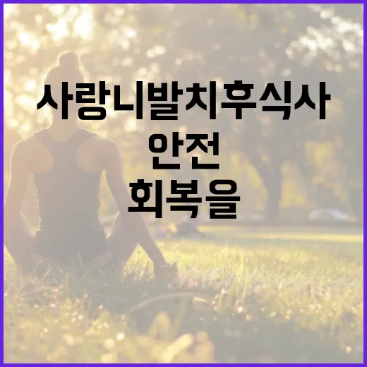 사랑니 발치 후 식사 방법: 안전하고 효과적인 회복을 위한 가이드 - 요약