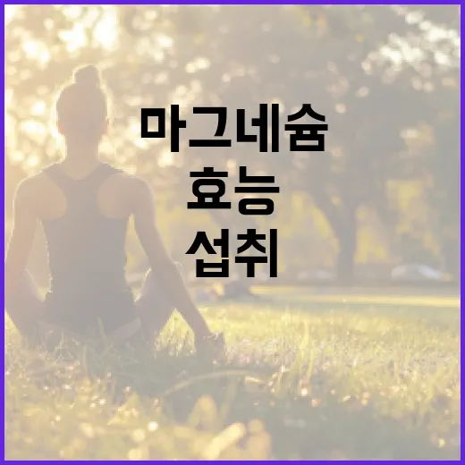 마그네슘의 건강 효능과 섭취 방법 - 요약