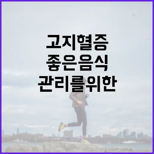 고지혈증 관리를 위한 좋은 음식 선택 방법 - 요약