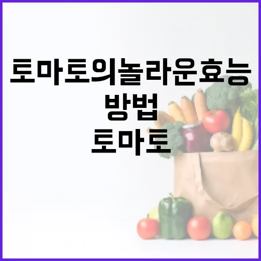 토마토의 놀라운 효능을 활용하는 방법 - 요약