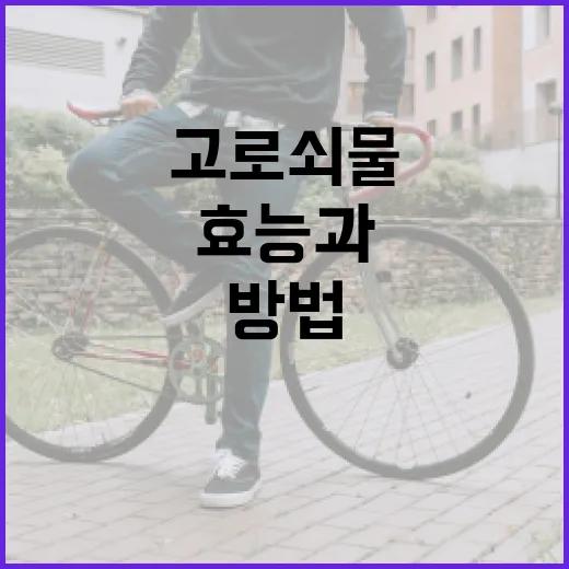 고로쇠물의 효능과 건강하게 섭취하는 방법 - 요약