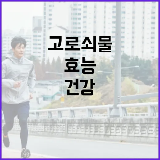 고로쇠물의 효능과 건강에 도움이 되는 방법 - 요약