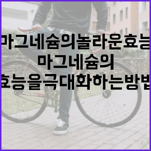 마그네슘의 놀라운 효능을 극대화하는 방법 - 요약