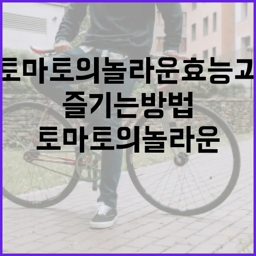 토마토의 놀라운 효능과 건강하게 즐기는 방법 - 요약