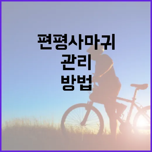 편평사마귀를 효과적으로 관리하는 방법 - 요약