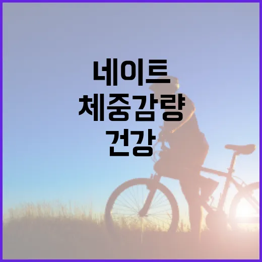 제로네이트로 건강하게 체중 감량하는 방법 - 요약