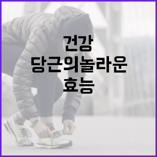 당근의 놀라운 건강 효능을 알아보는 방법 - 요약