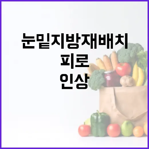 눈밑지방재배치를 통해 피로한 인상을 개선하는 방법 - 요약