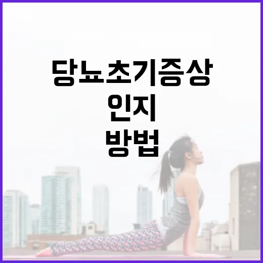 당뇨 초기증상을 인지하는 방법 - 요약