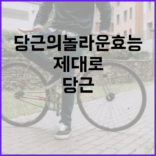 당근의 놀라운 효능을 제대로 활용하는 방법 - 요약