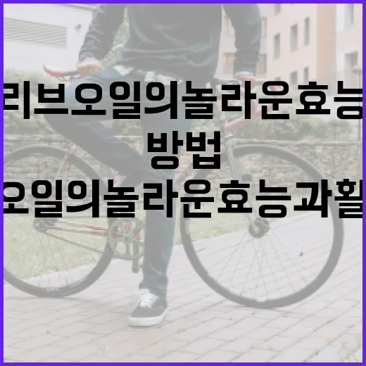 올리브오일의 놀라운 효능과 활용 방법 - 요약