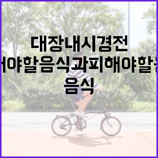 대장내시경 전에 먹어야 할 음식과 피해야 할 음식 가이드 - 요약