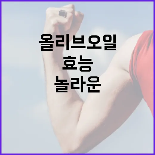 올리브오일의 놀라운 효능을 최대화하는 방법 - 요약