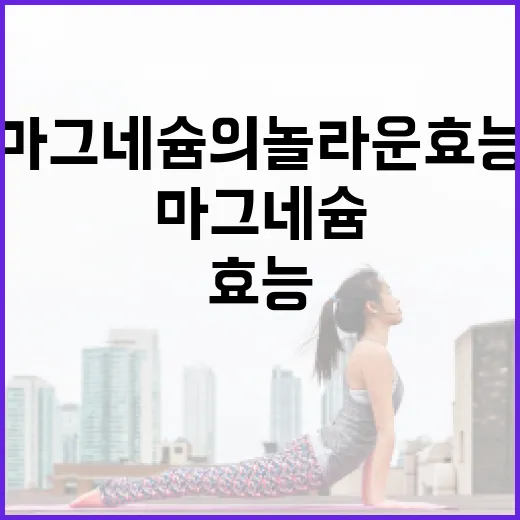 마그네슘의 놀라운 효능을 제대로 이해하는 방법 - 요약