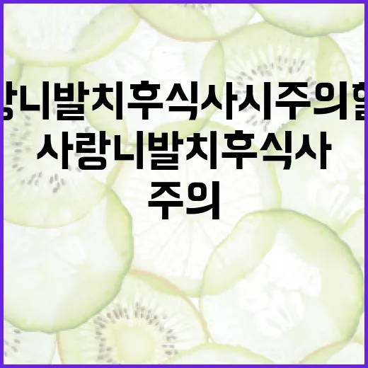 사랑니 발치 후 식사 시 주의할 점과 관리 방법 - 요약