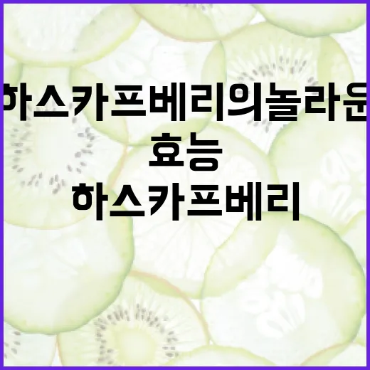 하스카프베리의 놀라운 건강 효능을 알아보는 방법 - 요약