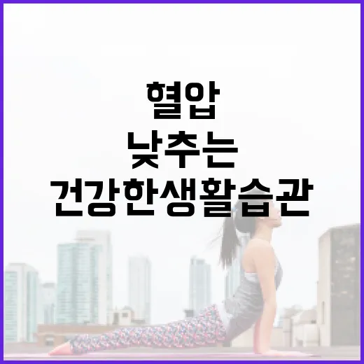 혈압을 낮추는 방법: 건강한 생활 습관을 통해 자연스럽게 조절하기 - 요약
