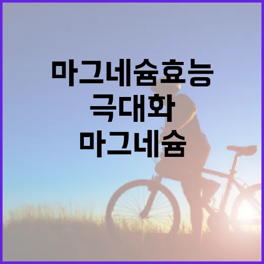 마그네슘 효능을 극대화하는 방법 - 요약