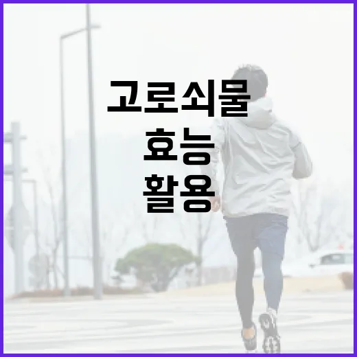 고로쇠물의 효능을 최대한 활용하는 방법 - 요약