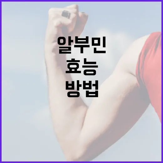 알부민의 효능을 최대한 활용하는 방법 - 요약