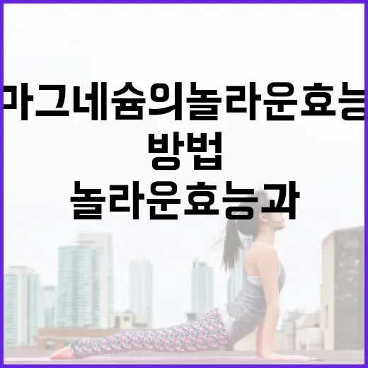 마그네슘의 놀라운 효능과 활용 방법 - 요약