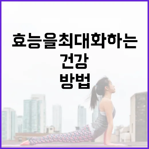 토마토의 건강 효능을 최대화하는 방법 - 요약