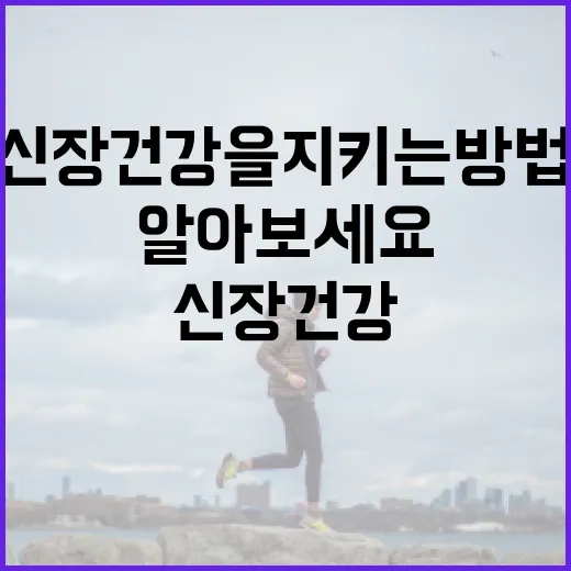 신장 건강을 지키는 방법: 신장에 좋은 음식을 알아보세요 - 요약