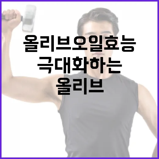 올리브오일 효능을 극대화하는 방법 - 요약