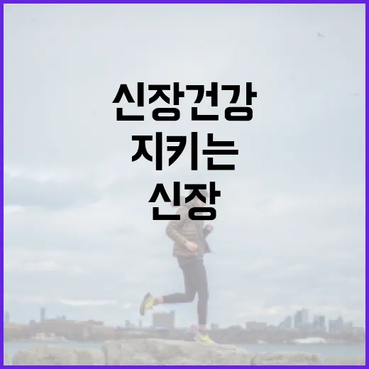 신장 건강을 지키는 음식 선택 방법 - 요약