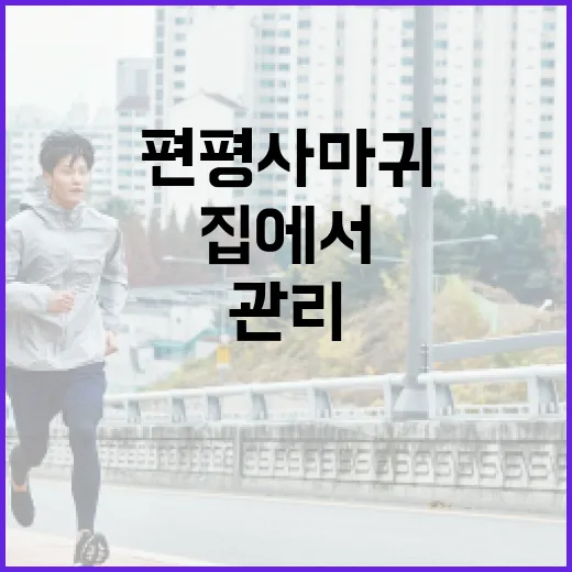 편평사마귀를 관리하는 방법: 집에서 할 수 있는 간단한 팁 - 요약