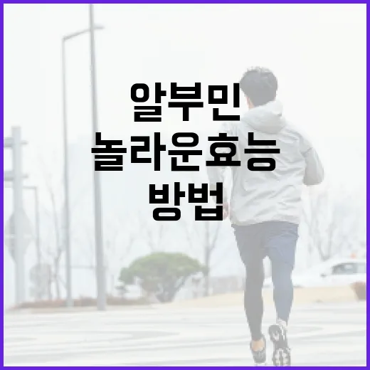 알부민의 놀라운 효능을 이해하는 방법 - 요약