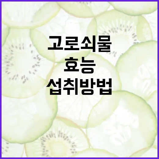 고로쇠물의 놀라운 효능과 건강에 좋은 섭취 방법 - 요약