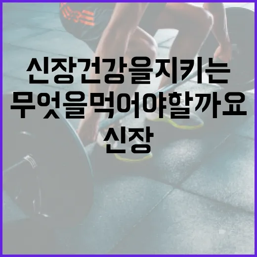 신장 건강을 지키는 음식: 무엇을 먹어야 할까요? - 요약